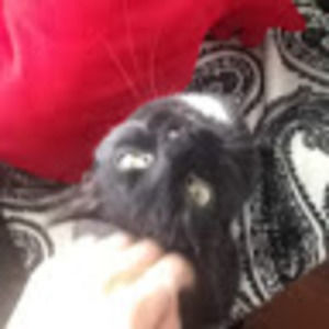 Meet your Posher, Jas